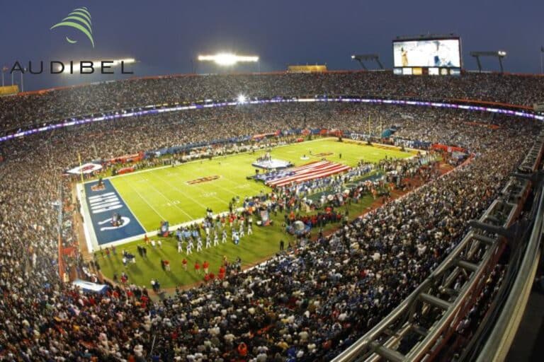 football stadium with fans